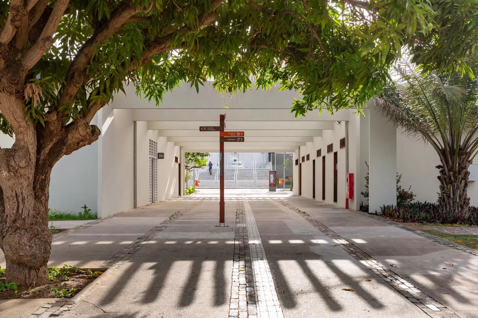 Parque do Bom Menino